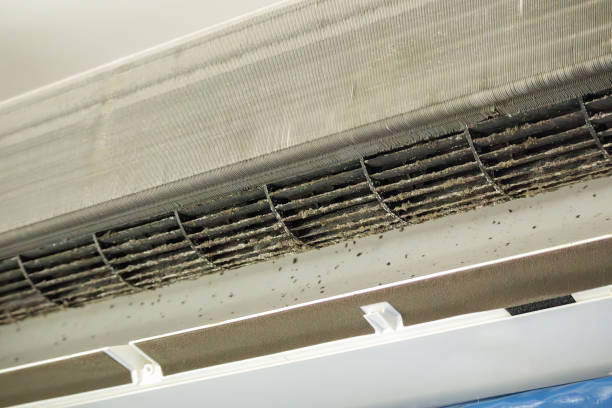 Best Air Vent Cleaning Services  in West Perrine, FL